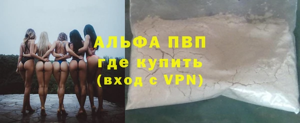 стафф Кодинск