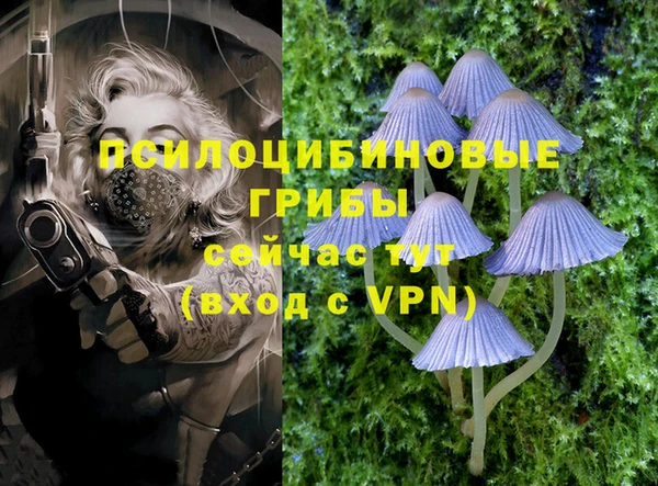 MDMA Premium VHQ Козловка