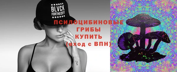 стафф Кодинск