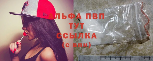 стафф Кодинск
