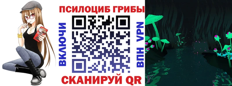 наркотики  Кяхта  Галлюциногенные грибы мицелий 